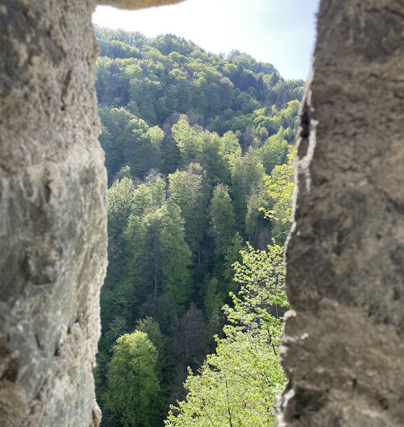 Burgmuseum Archeo Norico